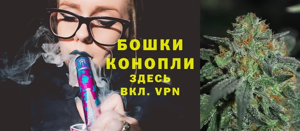 сатива Абаза